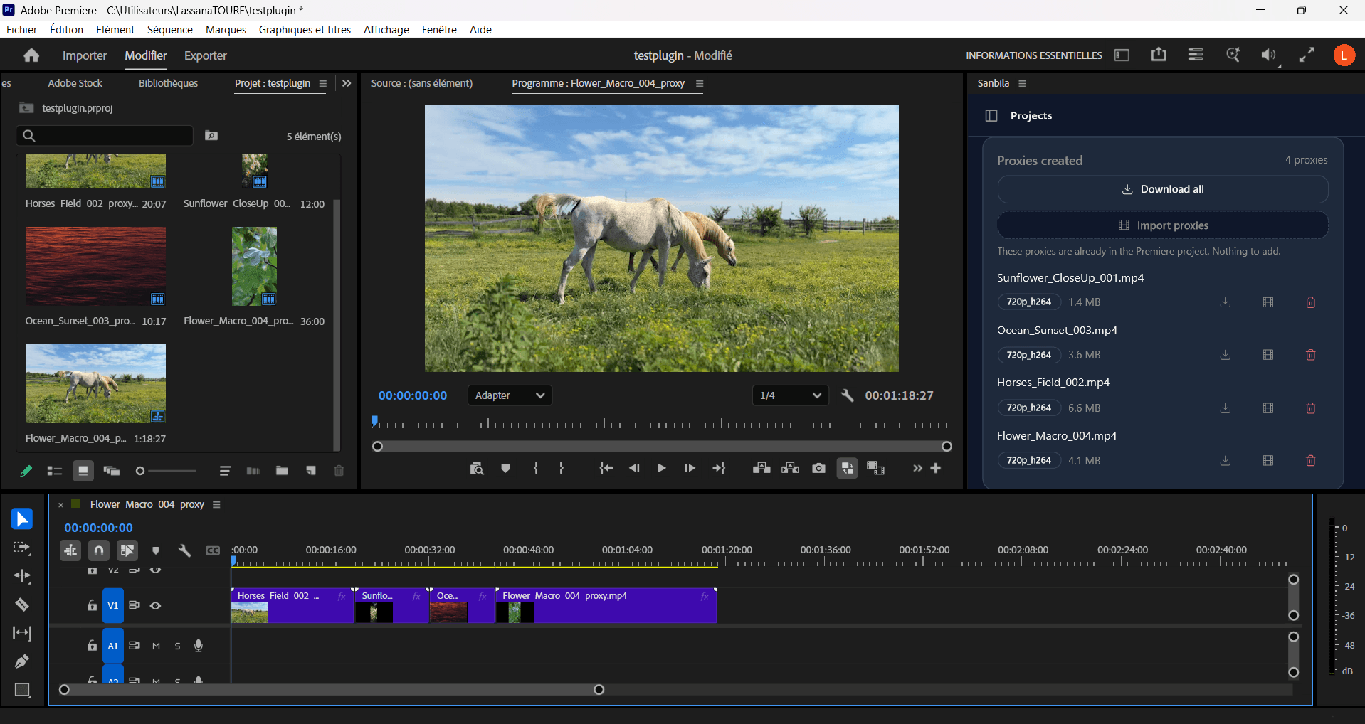 Proxies imported into a Premiere Pro timeline